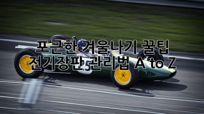 포근한 겨울나기 꿀팁🍯 전기장판 관리법 A to Z